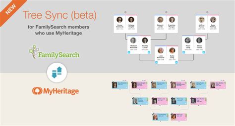 family saerch|my family tree search.